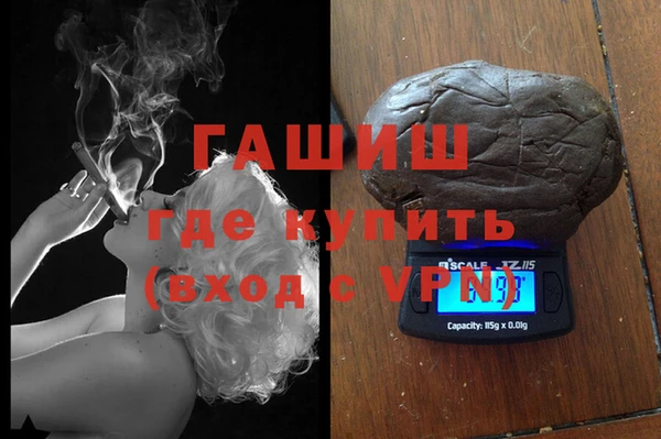 шишки Няндома